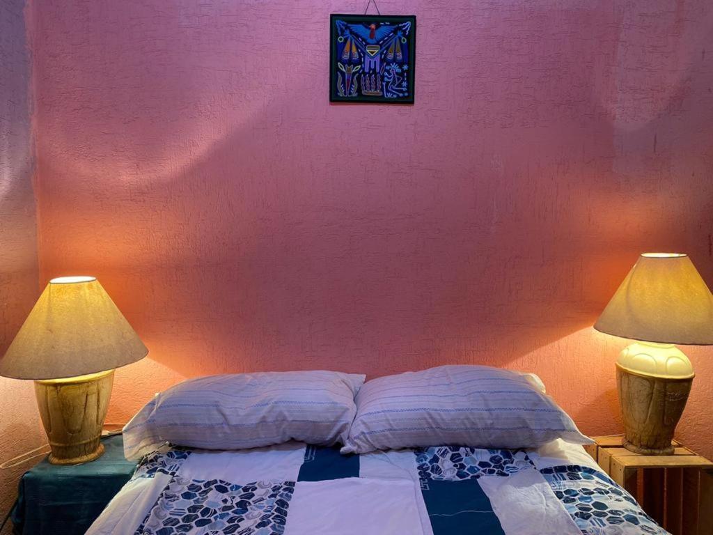 סן לואיס פוטוסי Hostal Del Centro En Slp מראה חיצוני תמונה