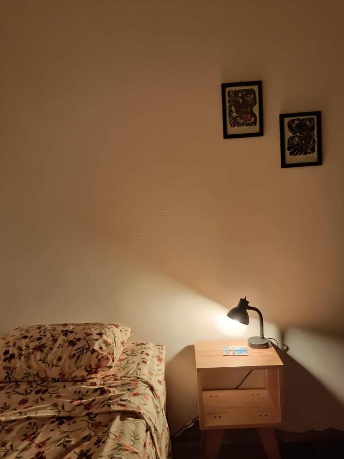 סן לואיס פוטוסי Hostal Del Centro En Slp מראה חיצוני תמונה